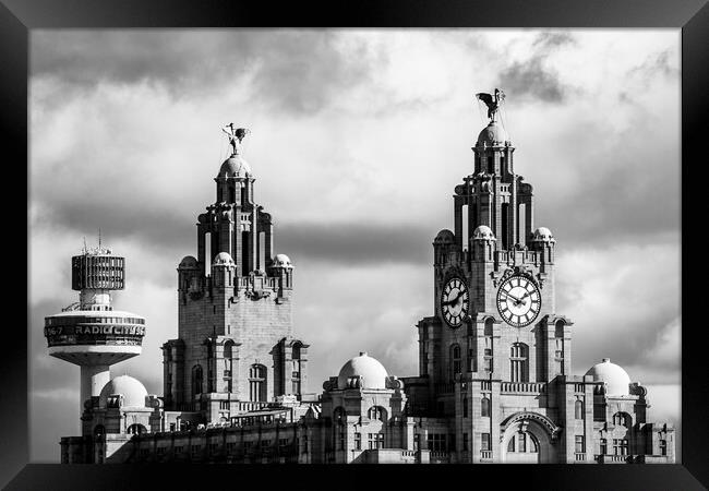 Looking up at the Royal Liver Building Framed Print by Jason Wells