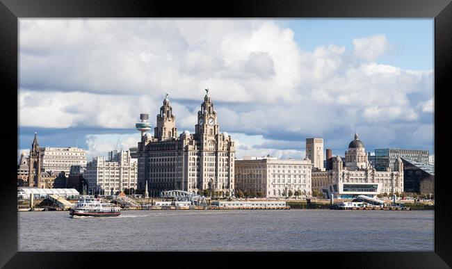 Royal Iris crossing the River Mersey Framed Print by Jason Wells