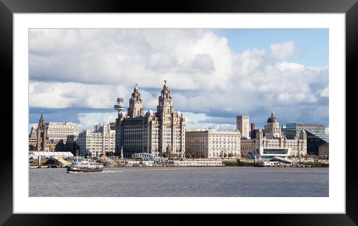 Royal Iris crossing the River Mersey Framed Mounted Print by Jason Wells