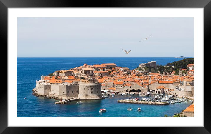 Sea gulls over the old town of Dubrovnik Framed Mounted Print by Jason Wells