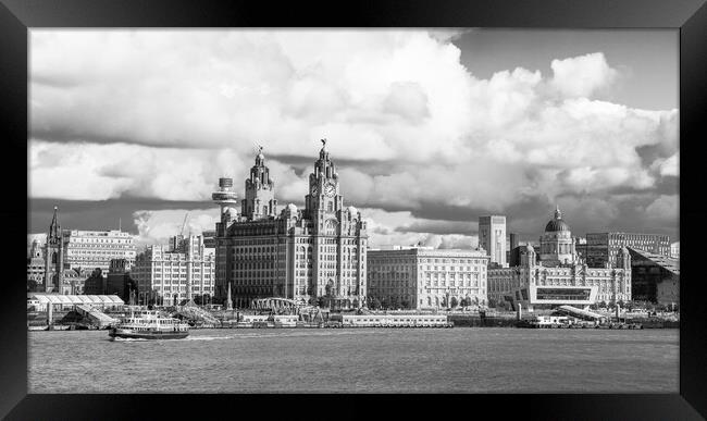 Royal Iris crossing the River Mersey Framed Print by Jason Wells