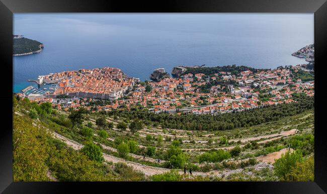 Looking down on Dubrovnik Old Town Framed Print by Jason Wells