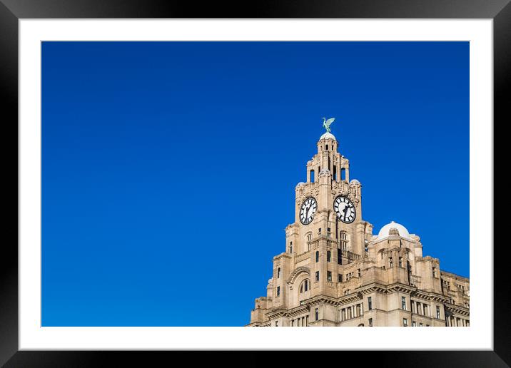 Royal Liver Building against a clear blue sky Framed Mounted Print by Jason Wells