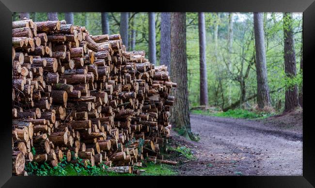 Logs piled high Framed Print by Jason Wells