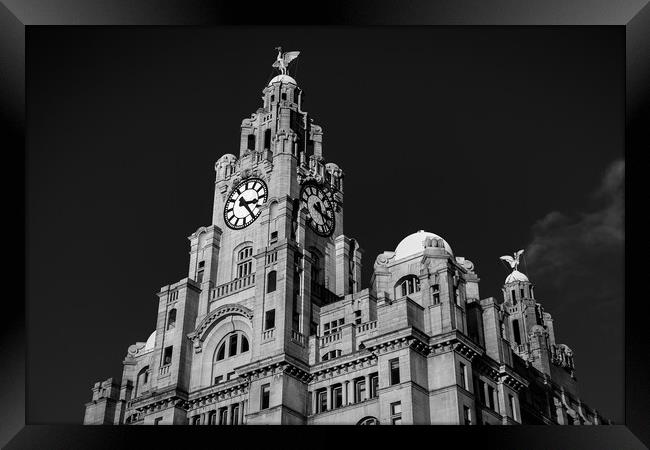 Royal Liver Building in monochrome Framed Print by Jason Wells