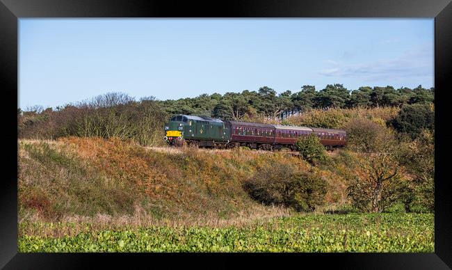 Diesel locomotive on the North Norfolk Railway Framed Print by Jason Wells