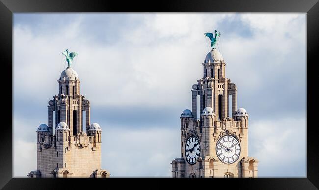 Looking up at the Royal Liver Building Framed Print by Jason Wells