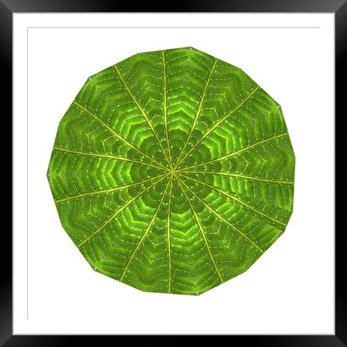 Circular composite of fern leaf Framed Mounted Print by Ivan Kovacs