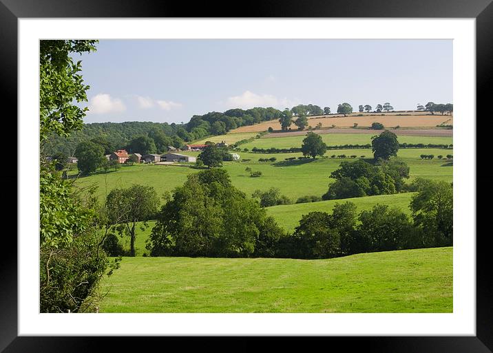 The East Yorkshire Wolds Framed Mounted Print by Richard Pinder