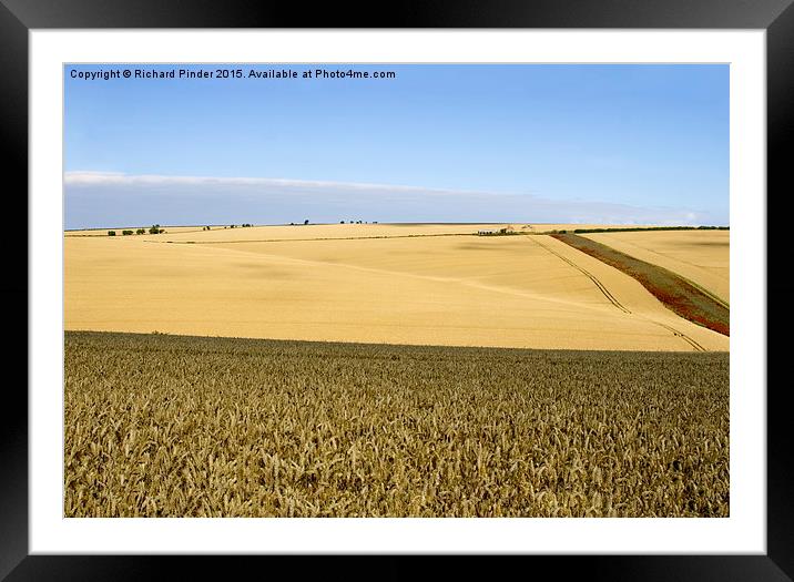  Yorkshire Wolds at Harvest Time Framed Mounted Print by Richard Pinder