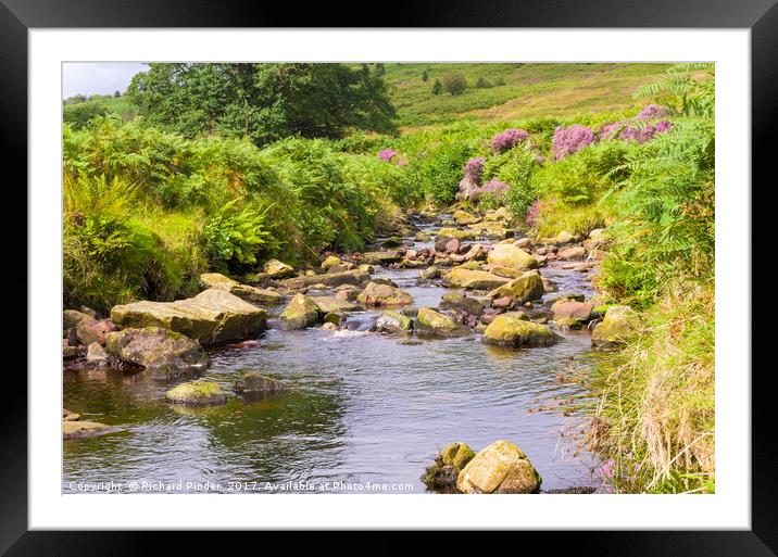 Wheeldale Gill, North York Moors Framed Mounted Print by Richard Pinder