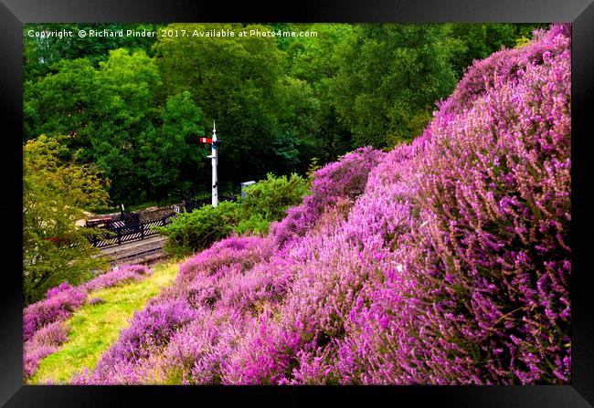 Goathland Station Signal Framed Print by Richard Pinder