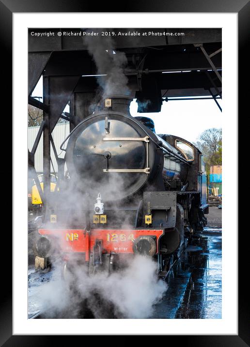 Thompson Class B1 No. 1264 Steam Engine. Framed Mounted Print by Richard Pinder