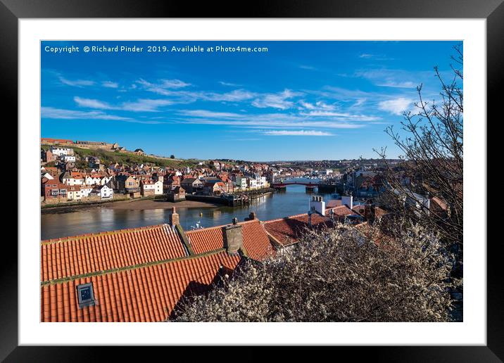 Whitby Harbour Framed Mounted Print by Richard Pinder