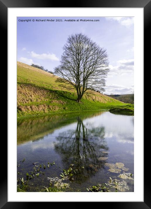 Fairy Dale Pond Framed Mounted Print by Richard Pinder