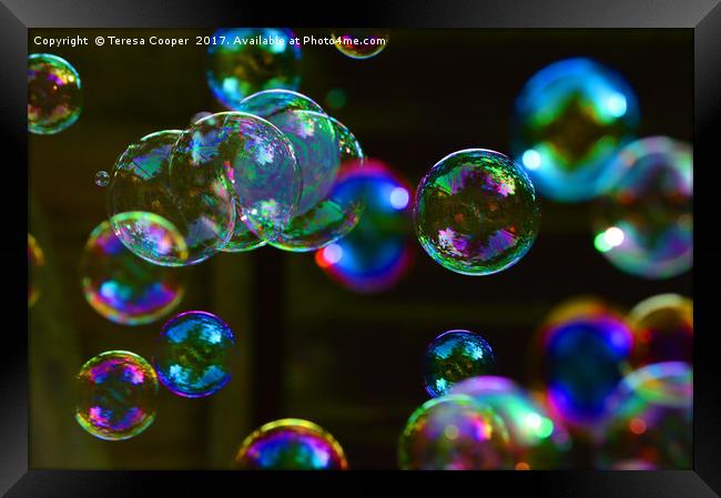 Blowing Bubbles Floating in the Air Framed Print by Teresa Cooper