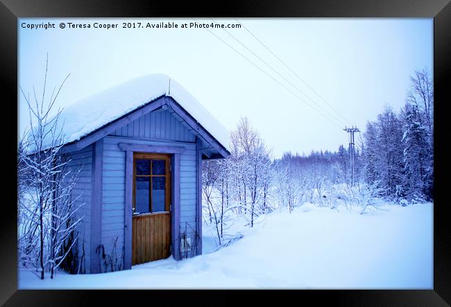 A Blue Wooden Cabin on a Carpet of Fresh Snow  Framed Print by Teresa Cooper