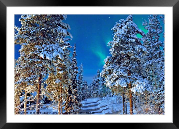 The Aurora Borealis peeps out from behind the snow Framed Mounted Print by Teresa Cooper