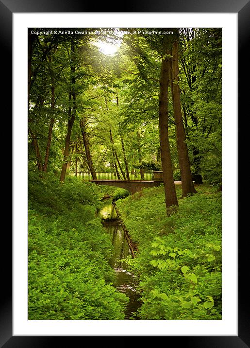 Green spring trees and bridge Framed Mounted Print by Arletta Cwalina