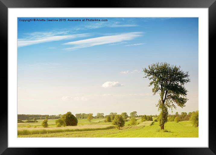 Rural grassland trees view Framed Mounted Print by Arletta Cwalina