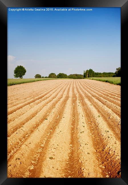 Ploughed agriculture field empty Framed Print by Arletta Cwalina