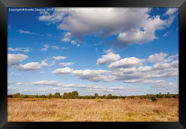 Blue sky cloudscape rural landscape  Framed Print by Arletta Cwalina