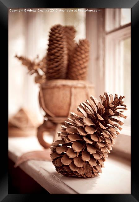 old dried cones on windowsill sepia toned  Framed Print by Arletta Cwalina
