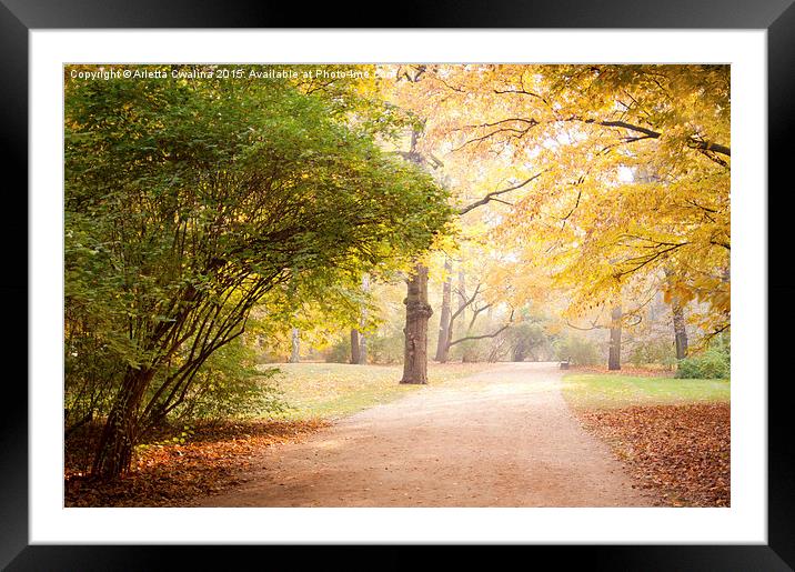Yellow and green autumn leaves in park alley  Framed Mounted Print by Arletta Cwalina