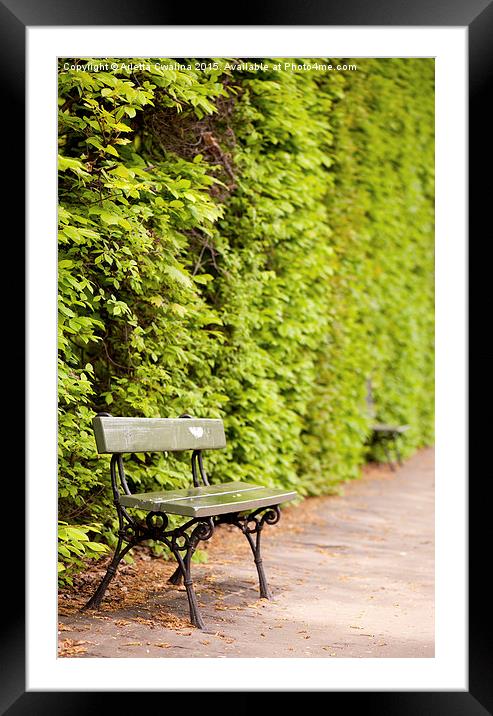 hedgerow and empty bench Framed Mounted Print by Arletta Cwalina