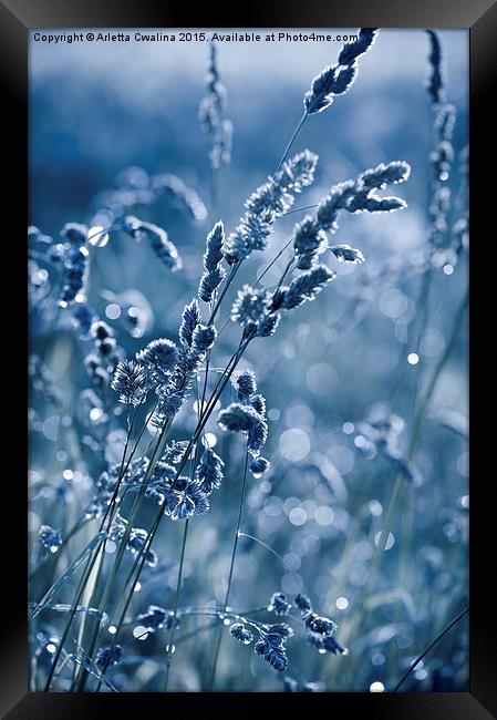 Blue grass shining in bokeh Framed Print by Arletta Cwalina
