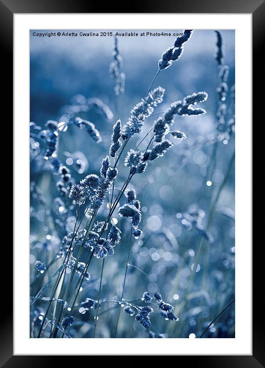 Blue grass shining in bokeh Framed Mounted Print by Arletta Cwalina