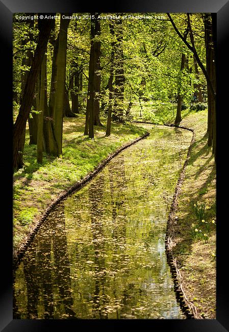 Vibrant green spring pond Framed Print by Arletta Cwalina