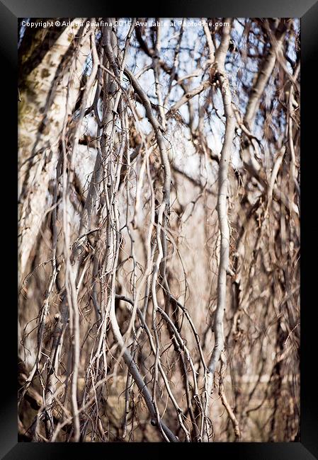 Fall twigs melancholic nature Framed Print by Arletta Cwalina