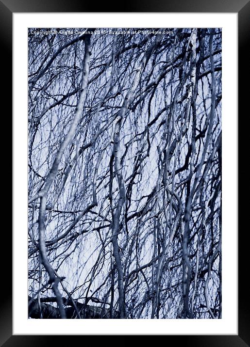 Fall twigs blue tone Framed Mounted Print by Arletta Cwalina