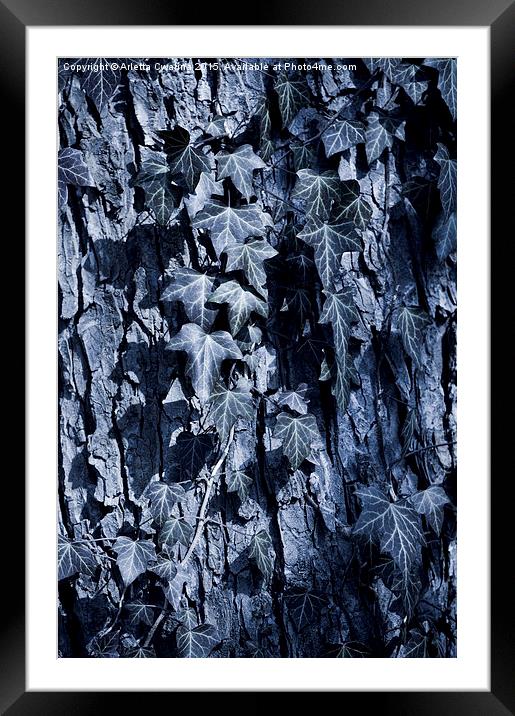Ivy leaves blue tone Framed Mounted Print by Arletta Cwalina