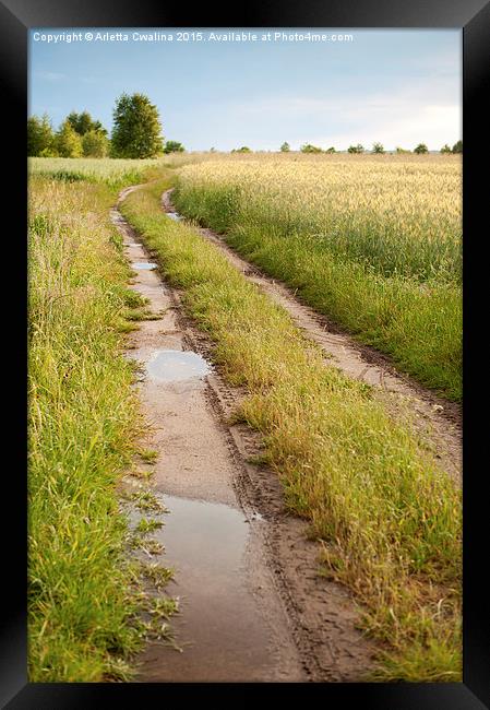 Path with puddles in fields Framed Print by Arletta Cwalina