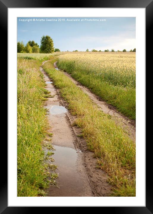 Path with puddles in fields Framed Mounted Print by Arletta Cwalina