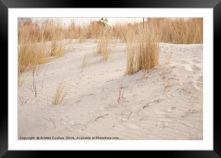 Dry dune grass plants Framed Mounted Print by Arletta Cwalina