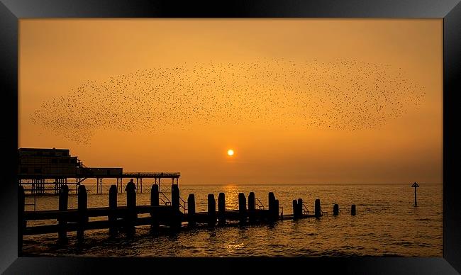   Murmuration of starlings Framed Print by Dean Merry