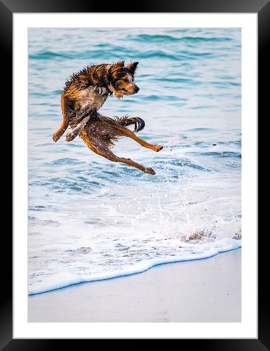  Kung fu Dog Framed Mounted Print by Dean Merry