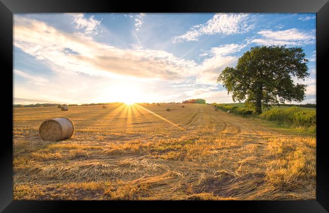 Hay bales and the late day sun rays Framed Print by Dean Merry