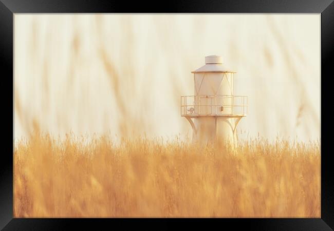 East Usk Lighthouse Framed Print by Dean Merry