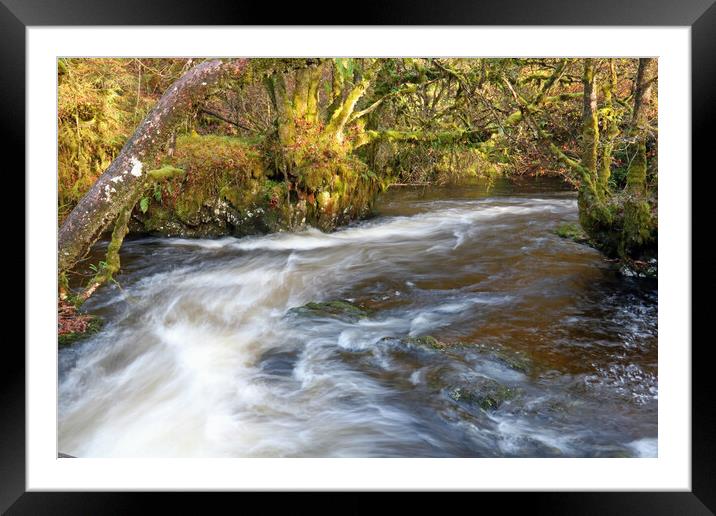 Woodland river Framed Mounted Print by Michael Hopes