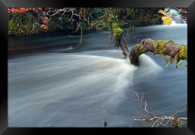 River below Avich Falls Framed Print by Michael Hopes