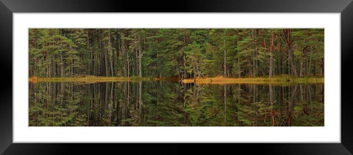 Panoramic tree line reflection Framed Mounted Print by Michael Hopes