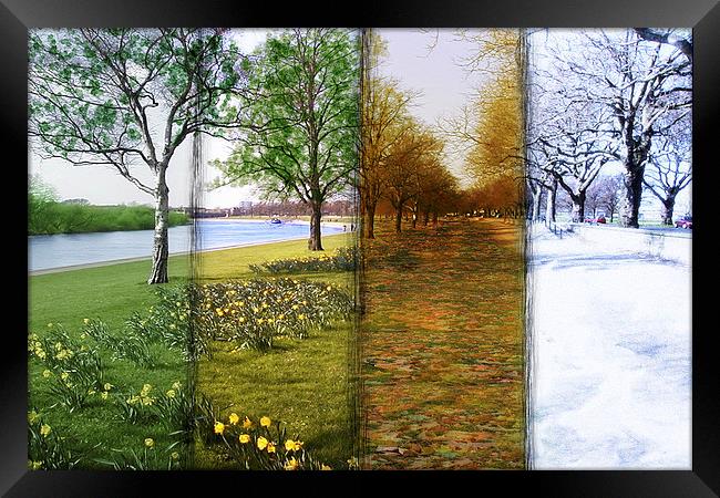  Four Seasons Framed Print by Levi Henley