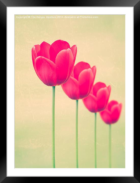 Red Tulips Framed Mounted Print by Stef B