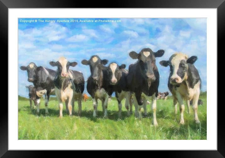  Cows Framed Mounted Print by Stef B