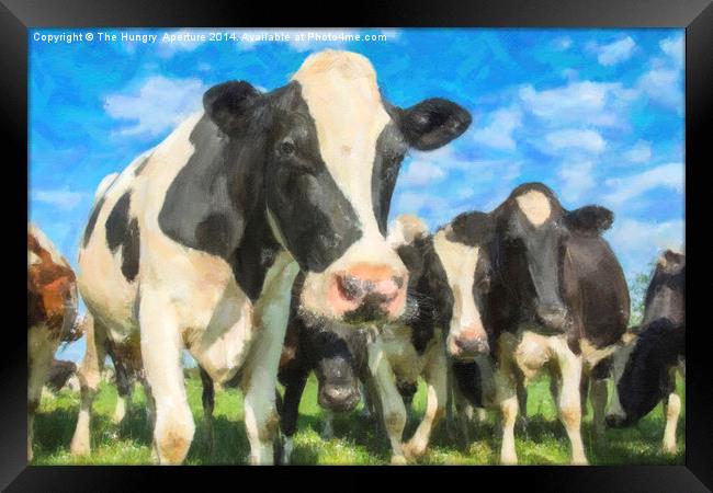 Nosey Cows Framed Print by Stef B