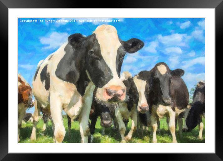 Nosey Cows Framed Mounted Print by Stef B